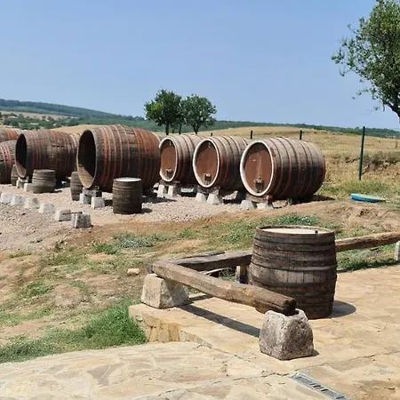 Πανσιόν шато еркеч